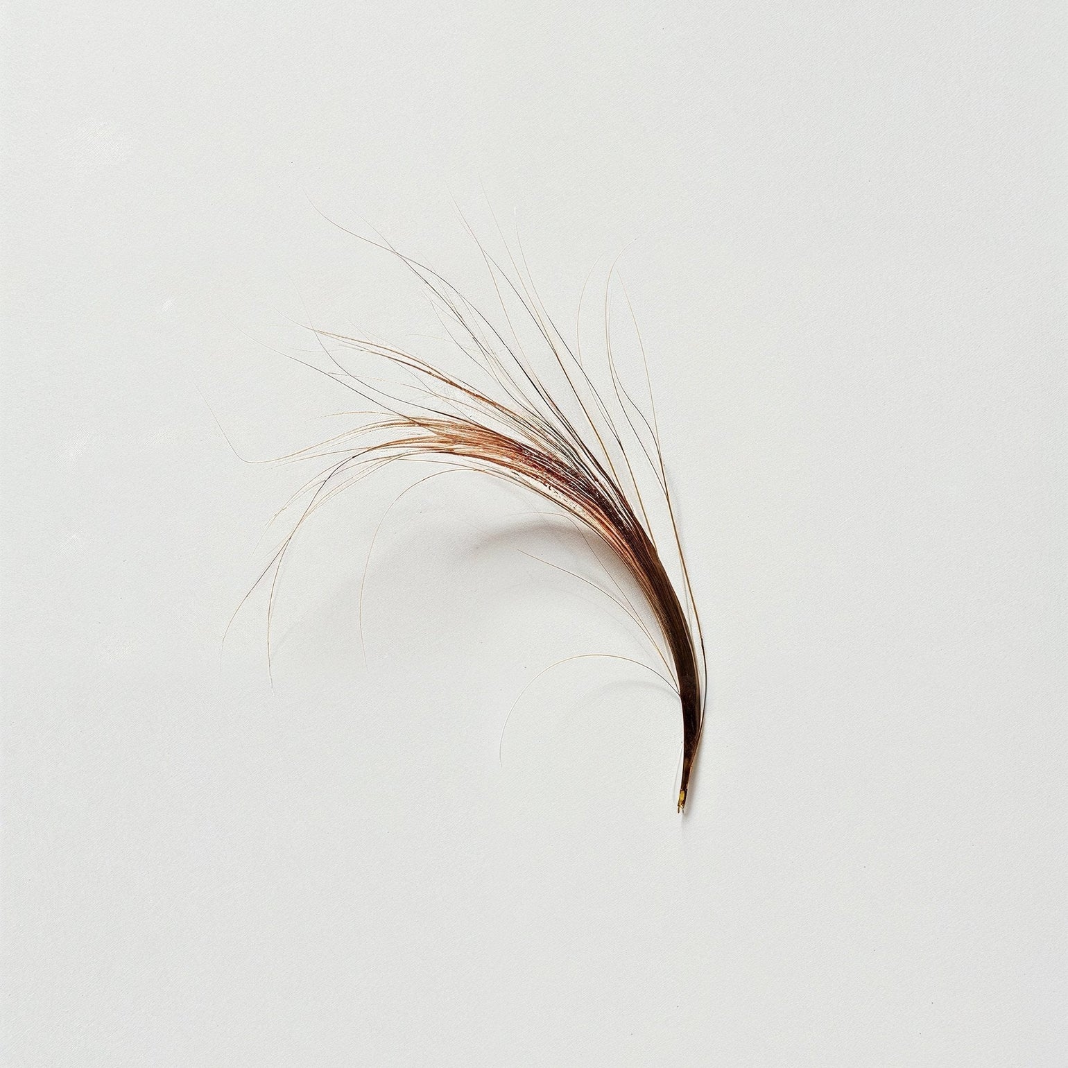 Complete Food Sensitivity Test 970 Items Tested Check My Body Health Singapore